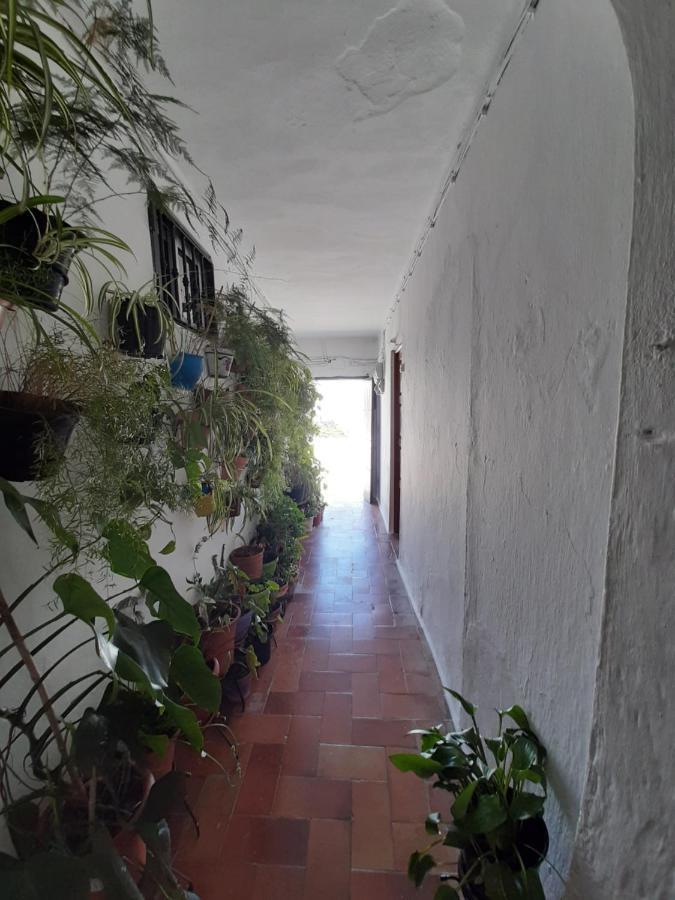 Loft De La Morena Y Estudio Jr مْبيخير ذي لا فرونتيرا المظهر الخارجي الصورة