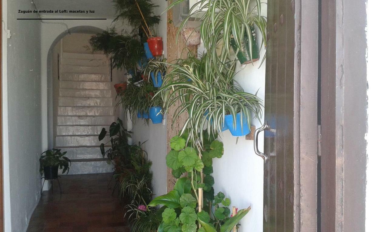 Loft De La Morena Y Estudio Jr مْبيخير ذي لا فرونتيرا المظهر الخارجي الصورة
